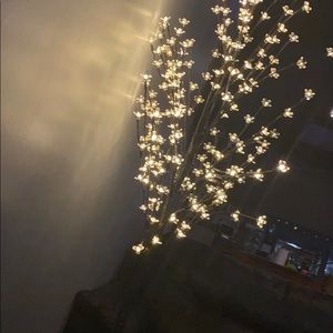 Meet your Posher, Rama